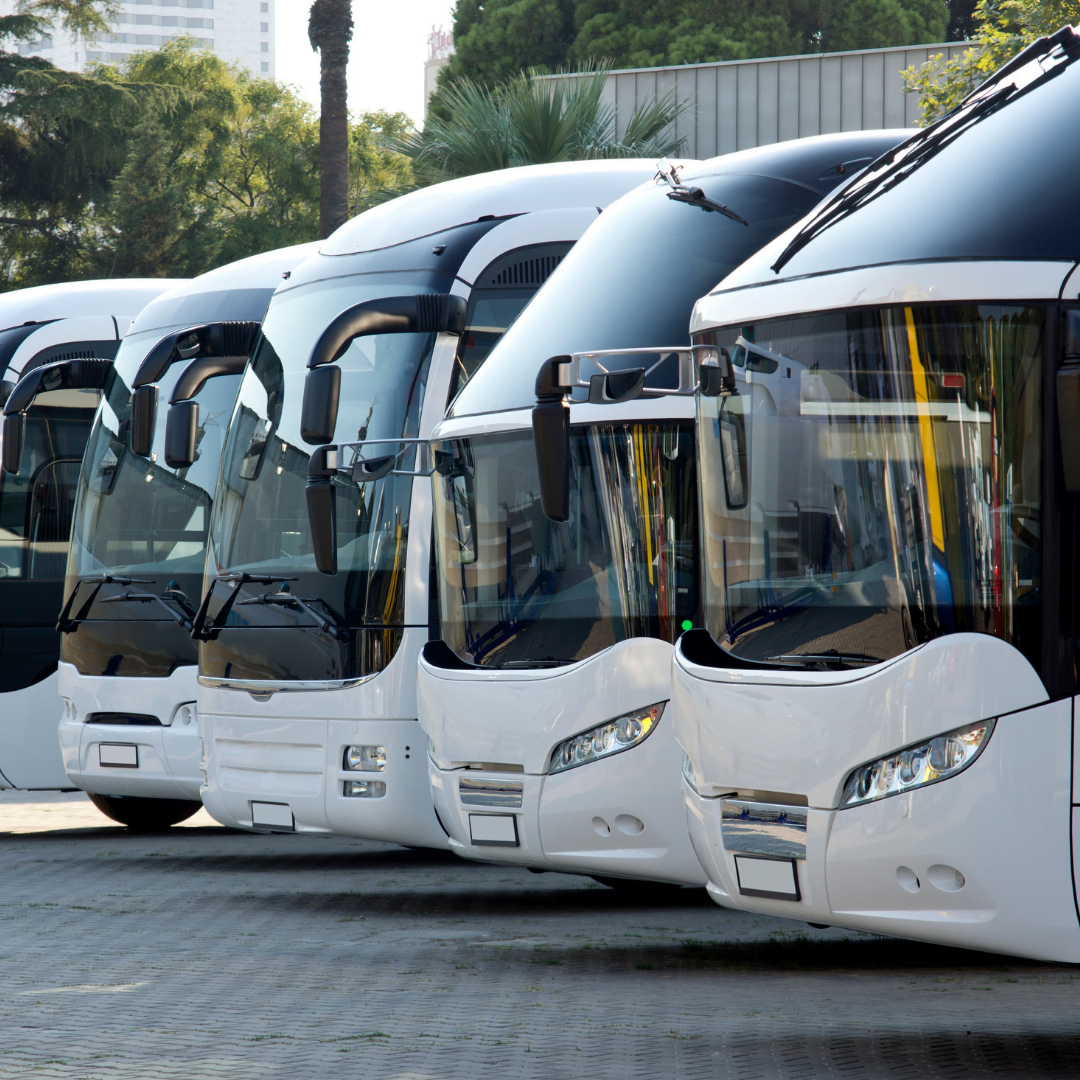 Bus-Transfer-service